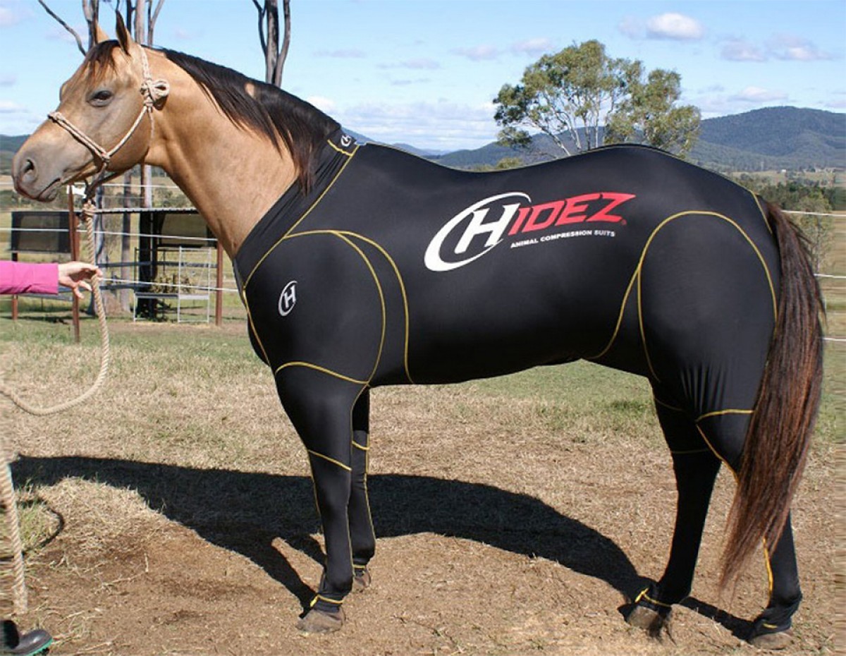 Horse Travel & Recovery Suit - Kompressionsanzug